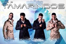TAMARINDOS