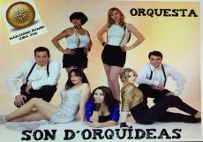 SON D´ORQUIDEAS