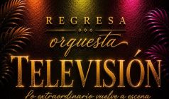 TELEVISIÓN