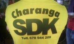 SDK